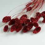 ポアプランツ　クラシックローズ　＜ドライフラワー・フラワーアレンジメント・花材・花資材＞