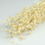 リンフラワー　白　＜ドライフラワー・フラワーアレンジメント・花材・花資材＞