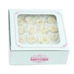 数量限定 プリザーブドフラワープロヴァンスローズ キュート16輪 #42ソイミルクフラワーアレンジメント 花材 バラ 薔薇