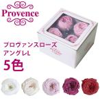 【プリザーブドフラワー】プロヴァンスローズ　アングレL　4輪　＜フラワーアレンジメント・花材・バラ・薔薇＞