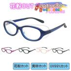 花粉用メガネ 曇り止め 花粉症 スケルトン メガネ 花粉対策 花粉対策メガネ ゴム 透明 超軽量 フレーム pm2.5 大人用 伊達メガネ 花粉ゴーグル 春 秋 冬