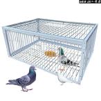 鳩罠 脱出防止設計 一方通行の入り�