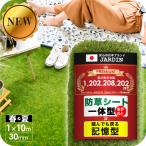 ★期間限定価格 9/1まで★ 人工芝 リアル人工芝 【幅1m分×長さ10m】 芝丈30mm 密度1.9倍 U字ピン 24本 付属 庭 ガーデニング
