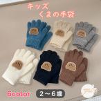 手袋 てぶくろ グローブ 5本指 子ども手袋 おしゃれ 子供用手袋 こども手袋 子供手袋 キッズ手袋