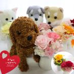 まだ間に合う 母の日 犬 プリザーブドフラワー トイプードル 誕生日 花 花 誕生日 プレゼント 女性 母 結婚祝い 退職 送別会 犬のぬいぐるみと初めてのプリザ