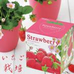 【ストロベリー 栽培キット】いちご イチゴ  種　栽培キット 栽培セット 家庭菜園 キッチン 栽培 母の日 ギフト 誕生日  贈り物 おしゃれ