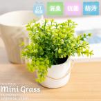 フェイクグリーン 人工観葉植物 造花 消臭アーティフィシャルグリーン おしゃ れ リビング 玄関 グリーン 消臭 防汚 抗菌 CT触媒 ギフト 母の日 Mini Grass