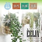 フェイクグリーン 壁掛け ミニ インテリア 多肉植物 造花 リビング ダイニング 玄関 キッチン トイレ 防汚 抗菌 ECLIA エクリア アーティフィシャルグリーン