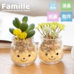  искусственная зелень суккулентное растение кактус фэн-шуй человеческий труд декоративное растение искусственный цветок дезодорация a-tifi автомобиль ru зеленый модный вход кухня CT катализатор подарок Famillefami-yuS