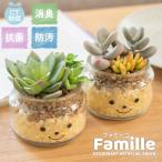  искусственная зелень суккулентное растение кактус фэн-шуй человеческий труд декоративное растение искусственный цветок дезодорация a-tifi автомобиль ru зеленый модный вход кухня CT катализатор подарок Famillefami-yuL