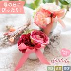 造花 ミニ インテリア アレンジ 玄関 カーネーション ローズ 赤 ピンク プレゼント ギフト フェイクフラワー 実用的 抗菌 消臭 CT触媒 母の日 プランチュール
