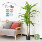  декоративное растение поддельный большой искусственная зелень сборка тип 5 номер 6 номер горшок человеческий труд декоративное растение интерьер pakira оливковый монстера драцена areka cocos nucifera are медный m