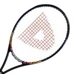 DONNAY(done-) ALLWOOD Lite все дерево свет VERSION 16×19 (285g) за границей стандартный товар бейсбол теннис ракетка DNAW-1 черный (24y11m)NC