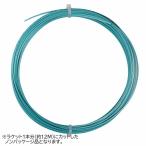 「お試し12Mカット品」ダイアデム(DIADEM) ソルスティス パワー(1.20mm／1.30mm) 硬式テニス ポリエステル ガット(15y11m)