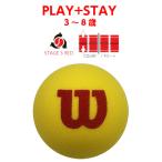  Wilson губка мяч (1 лампочка ) Kids теннис мяч (Wilson Starter Red Foam Tennis Balls)