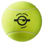  Wilson (Wilson) 2021 Wilson×Minions Mini on z9 дюймовый jumbo мяч WR8202801001(21y6m)