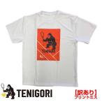 есть перевод Япония размер TENIGORI(tenigoli) унисекс RG RECEIVE GAME PARIS dry короткий рукав футболка * принт ошибка иметь * TGMT024-WH× orange (24y11m теннис )