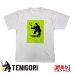 訳あり 日本サイズ TENIGORI(テニゴリ) ユニセックス WINWINWIN THE CHAMPIONSHIPS ドライ半袖Tシャツ ※プリントミス有※ TGMT022-WH×GN(24y11mテニス)