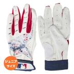  обе рука для комплект FRANKLIN( Frank Lynn ) Junior 2ND-SKINZ DRIP Second Skins карниз YOUTH перчатки подающего детский 21701 WH×RD×NV(26y2m)