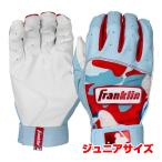 両手用セット FRANKLIN(フランクリン) DIGITEK デジテック デジタル迷彩 バッティンググローブ ユース ジュニア 子ども用 21041 WH×カロリーナ(25y7m)