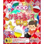 カプセルトイ自販機 景品 おもちゃカプセル入り  がちゃキッズBIG 女の子  50個入り 　65mm