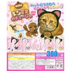 mini кошка ушко (уголок) лента-ободок все 5 вида комплект comp Complete 