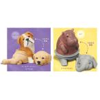 アニマルアトラクション また、なりすまし 2種セット