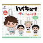 ハイキュー かぷっこふれんず3 全4種セット コンプ コンプリートセット