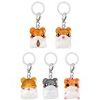 �n���X�^�[��y�� �߂��邵�A�N�Z�T���[ �S5��Z�b�g �R���v �R���v���[�g�Z�b�g