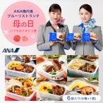 母の日 冷凍弁当 機内食【ANA's Sky Kitchen】ANA国際線エコノミークラス機内食 ブルーリストランテ 母の日いつもありがとう便 6個入り お弁当 お取り寄せグルメ