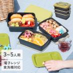 ピクニック ランチボックス 3段 2段 重箱 弁当箱 大容量 お皿付き 電子レンジ対応 食洗機対応 おしゃれ シック 北欧風 女子 男子 運動会 行楽 親子遠足