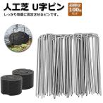 Uピン杭 防草シート 人工芝 押さえ用 黒丸板100枚+釘100本セット 押さえピン 除草シート 庭 ガーデン用品 ステークスペグ 園芸用品 草地 灌漑 送料無料