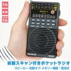 . покупка радио карман радио широкий FM FM AM соответствует портативный радио тип аккумулятора мобильный радио портативный тип аккумулятора комплект динамиков есть poke