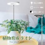  растения выращивание свет LED растения свет выращивание декоративное растение много мясо салон культивирование гидропонная культура солнце свет свет соединение выращивание день . нехватка аннулирование 10 -ступенчатый style свет 3 цвет режим таймер 