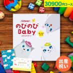 出産祝い ギフトカタログ 3万円 出産 お祝い カタログギフト 2人目 友達 ママ用 男の子 女の子 おもちゃ おしゃれ のびのびBaby 30900円コース もっと