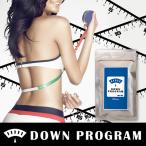 DOWN PROGRAM（ダウンプログラム）/ダ