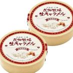 【訳あり 賞味期限間近】花畑牧場 生キャラメル 常温タイプ ドライ 64g 2個セット プレーン 選べる数量 北海道 プレゼント ギフト 贈り物