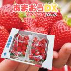 いちご　イチゴ　苺　Strawberry　あまおう　デラックス　卒業祝い　入学祝い　就職祝い　2パック　北海道と沖縄県以外送料無料