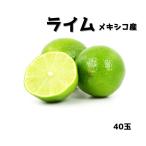 メキシコ産 ”ライム” 40玉 柑橘 大容量 お徳用 家庭用 お中元 お歳暮 ギフト 贈り物 フルーツ ギフト 贈り物 スイーツ プレゼント お菓子 誕生日 お祝い