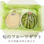 アールスメロン 小玉スイカ詰め合わせ 父の日 果物 詰め合わせ ギフト ご贈答用 果物ギフト 夏ギフト お中元 メロン 小玉西瓜 果物セット プレゼント フルーツ