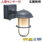  сенсор свет наружный предотвращение преступления защита от дождя человек чувство сенсор вход освещение LED морской свет латунь BR5000 GY FR LE SL помутнение стекло серый 