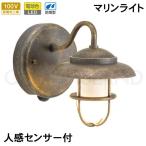  сенсор свет наружный предотвращение преступления защита от дождя человек чувство сенсор вход освещение LED морской свет латунь BR1760 AN FR LE SL помутнение стекло старый цвет Brown подпалина чай 