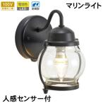  сенсор свет наружный предотвращение преступления защита от дождя человек чувство сенсор вход освещение LED морской свет латунь BR1700 BK FR LE SL прозрачный стекло черный чёрный 