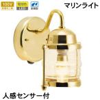  сенсор свет наружный предотвращение преступления защита от дождя человек чувство сенсор вход освещение LED морской свет латунь BR1710 FR LE SL прозрачный стекло Gold латунь 