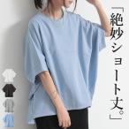 スウェット レディース トレーナー 半袖 無地 春 夏 体型カバー プルオーバー トップス 50代 40代 30代 20代 ゆったり シンプル ドルマン おしゃれ