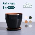  цветочный горшок горшок керамика горшок 8 номер CERAPOTS неглазурованный фарфор . горшок тарелка имеется модный посадочная машина интерьер Северная Европа горшок тарелка имеется растения декоративное растение 