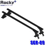 SGR-09 Rocky плюс Rocky+ steel + краска производства Probox / Succeed и т.п. специальный указатель поворота Attachment основной держатель балка крыши ( Okinawa * отдаленный остров рассылка не возможно )