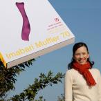 i... muffler 70 season корзина для рыбы to Lien mauve 3 34×150cm приобретенный товар 