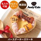 犬用ケーキ バースデー チーズケーキ  誕生日 無添加 無着色 ドッグケーキ 名入れ 犬 ケーキ ドッグフード 手作り グルテンフリー 記念日 お祝い