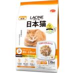 猫用ドライフード